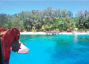 PNG coral reef